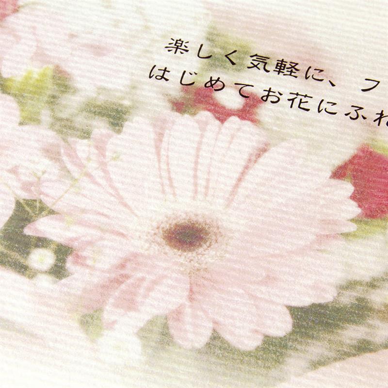 OA和紙 すのめA4サイズ 30枚入 | 谷口松雄堂
