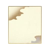 【アウトレット品】寸松庵 金雲 No5 【在庫限り】
