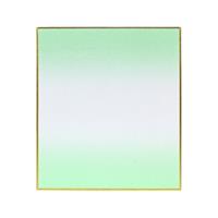 寸松庵 画仙ぼかし 草 1枚P入