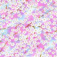 手染友禅紙（菊全判）1000×660 桜霞 紅紫