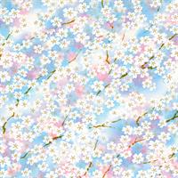手染友禅紙（菊全判）1000×660 桜霞 空
